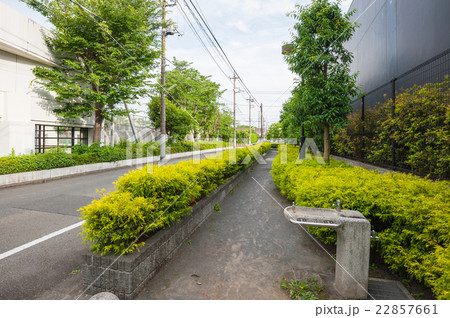 東京散歩、世田谷区上用賀　上用賀五丁目公園 22857661