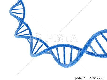 青のDNA 22857729