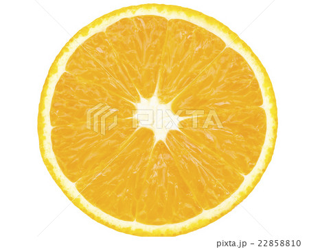 クロ－ズアップ クローズアップ 接写 22858810