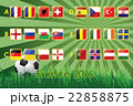 Flags of European 2016 on grass background 22858875