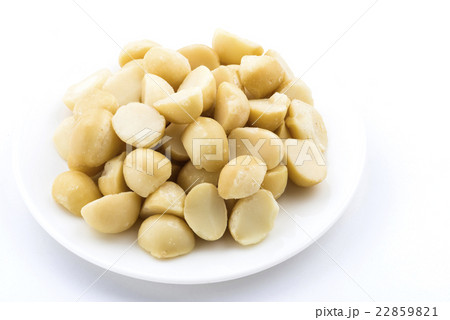 農耕 農業 落花生 22859821