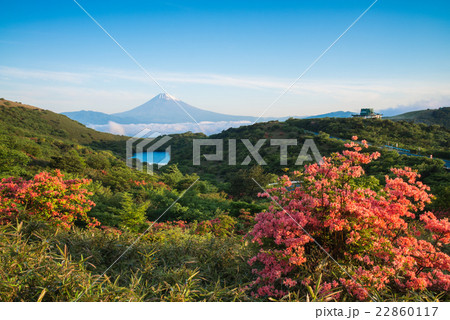 ツツジ咲く箱根玄岳から富士山の眺め 22860117