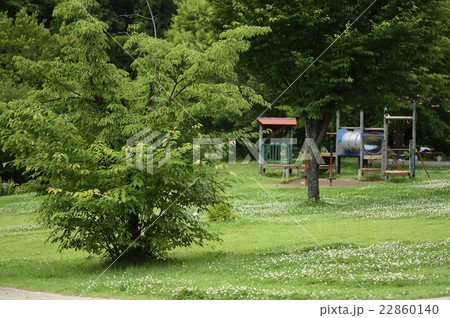 公園 公園 22860140