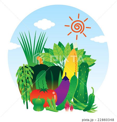 青空と太陽と夏野菜のイラスト素材 [22860348] - PIXTA