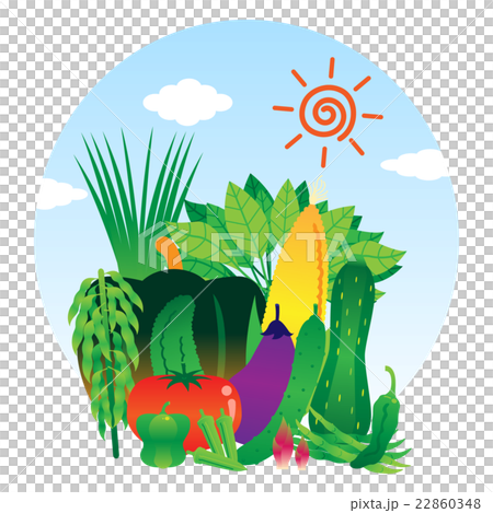 青空と太陽と夏野菜のイラスト素材 [22860348] - PIXTA