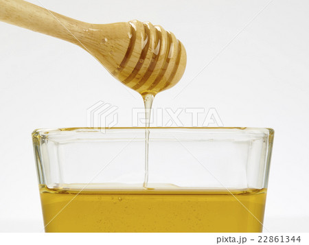 honey honey 22861344