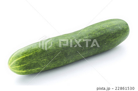 キュウリ きゅうり 胡瓜 22861530