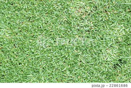 Football field green grass Football field green grass 22861686