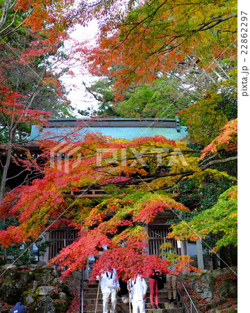 四国霊場第八十八番札所 大窪寺の紅葉 四国霊場第八十八番札所 大窪寺の紅葉 22862297