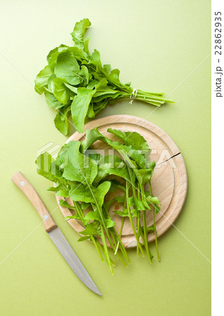 arugula leaves arugula leaves 22862935