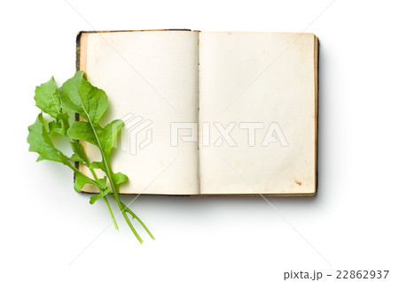 arugula leaves on old book arugula leaves on old book 22862937
