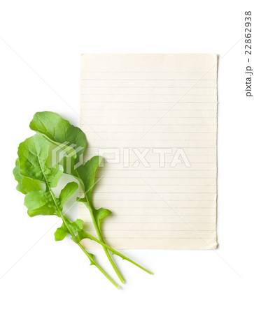 arugula leaves with blank paper arugula leaves with blank paper 22862938