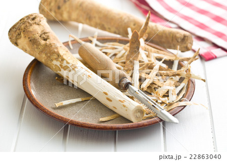 peeled horseradish root 22863040