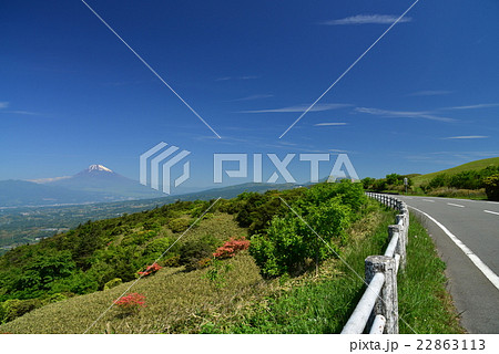 ツツジ咲く伊豆スカイライン道路から富士山を望む 22863113