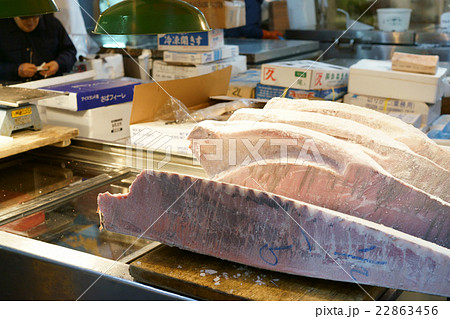 築地市場の冷凍マグロ 築地市場の冷凍マグロ 22863456