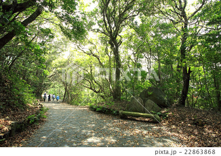 屋久島　千尋の滝 22863868