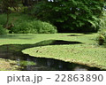 陣馬の滝 22863890