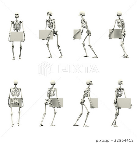 3DCG 人間骨格 持ち上げ姿勢セット 45度刻み 3DCG 人間骨格 持ち上げ姿勢セット 45度刻み 22864415