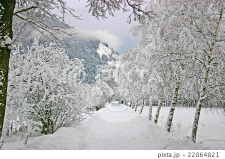 Winter landscape from Austria Winter landscape from Austria 22864821
