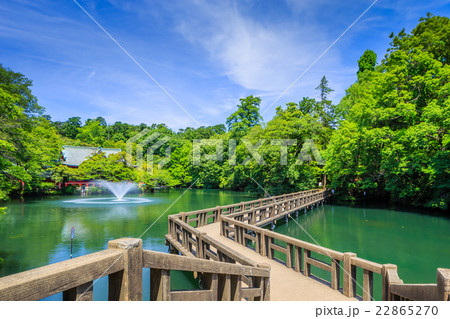 春の井の頭公園 22865270