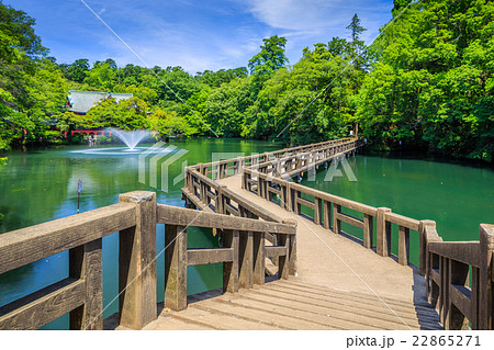 春の井の頭公園 春の井の頭公園 22865271