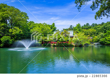 春の井の頭公園 22865366