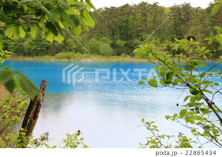 弁天沼 22865434