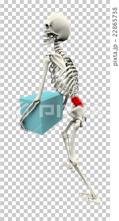 3DCG Human skeleton gikkuri waist · low back pain image 3DCG Human skeleton gikkuri waist · low back pain image 22865738