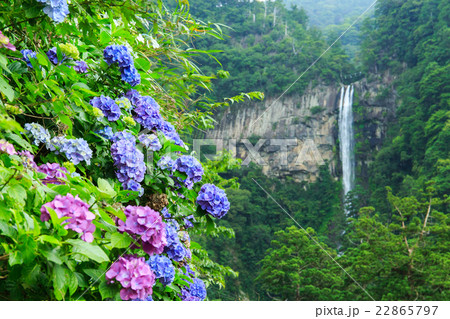 那智の滝 22865797