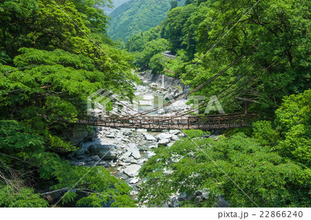 祖谷のかずら橋 祖谷のかずら橋 22866240