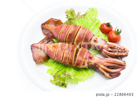 イカの姿焼き 22866403