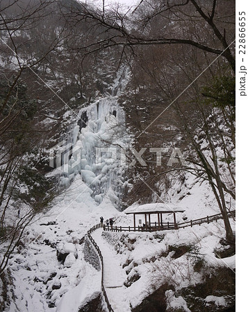 冬の白猪の滝 冬の白猪の滝 22866655
