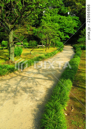 小石川後楽園の風景 22866866