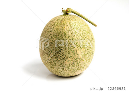 Melon on white background Melon on white background 22866981