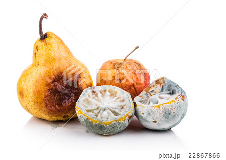 Rotten, moldy and decomposing lemon, apple, pear Rotten, moldy and decomposing lemon, apple, pear 22867866