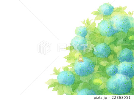 あじさいとあまがえるヨコ（ブルー） 22868051