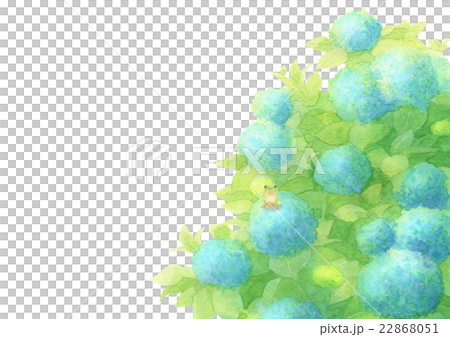 あじさいとあまがえるヨコ（ブルー） 22868051