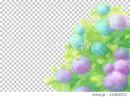 Hydrangea horse mackerel (mix) Hydrangea horse mackerel (mix) 22868052