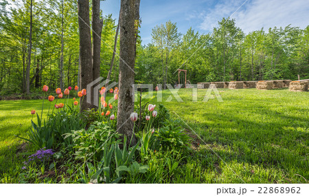 Country wedding setting in a front yard. Country wedding setting in a front yard. 22868962