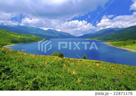 夏の野反湖 夏の野反湖 22871176