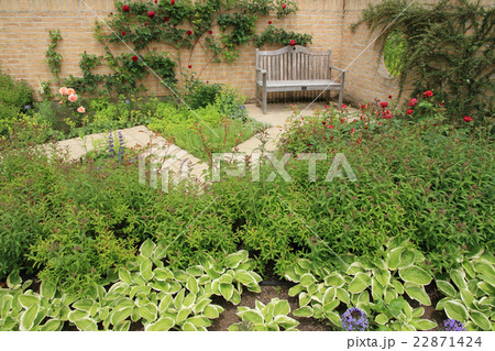 初夏のイングリッシュガーデン 22871424