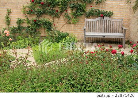 初夏のイングリッシュガーデン 22871426