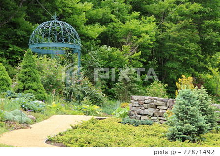 初夏のイングリッシュガーデン 22871492