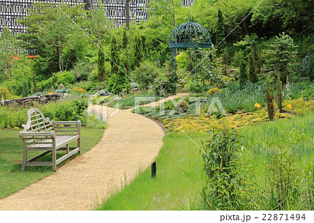 初夏のイングリッシュガーデン 初夏のイングリッシュガーデン 22871494