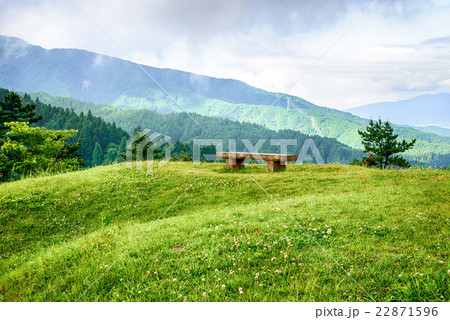 丘の上のベンチ 丘の上のベンチ 22871596