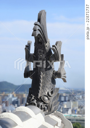 世界遺産「姫路城」大天守最上階から見る鯱鉾（南側） 22871737