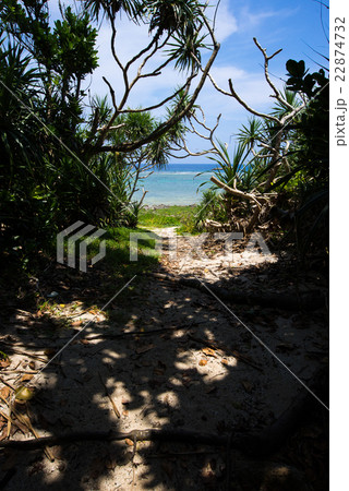 沖縄の海・久高島の海 22874732