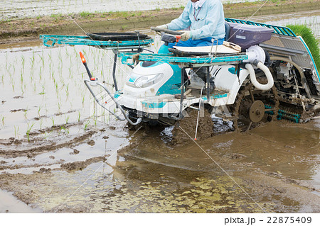 田植え 22875409