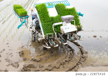 田植え 22875410
