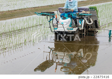 田植え 22875416